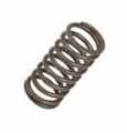 Opruga glave motora manja JR55793