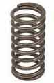 Opruga glave motora veca JR 55794