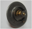 TERMOSTAT 74c JR8191